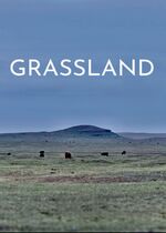 Grassland