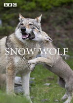 The Snow Wolf: A Winters Tale