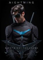 Nightwing: The Series
