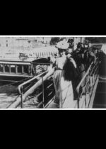 Débarquement dune mouche