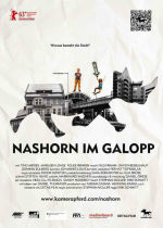 Nashorn im Galopp