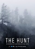 The Hunt: In Search of Australias Big Cats