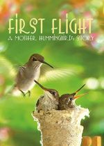 First Flight: A Mother Hummingbirds Story