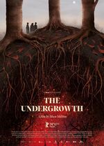 The Undergrowth (La hojarasca)
