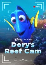 Dorys Reef Cam