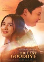 The Last Goodbye