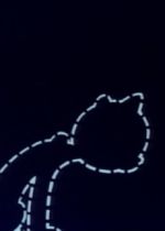 The House-Cat (Felis Vulgaris)