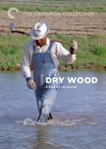 Dry Wood