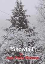 Snowfall