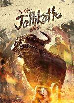 Jallikattu