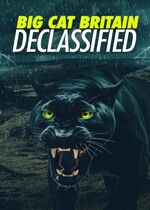 Panthera Britannia Declassified/Big Cat Britain Declassified