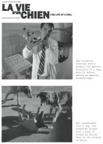 La vie dun chien