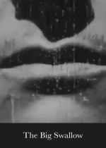 A Photographic Contortion