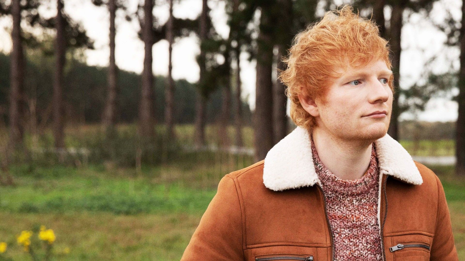 Ed Sheeran: The Sum of It All
