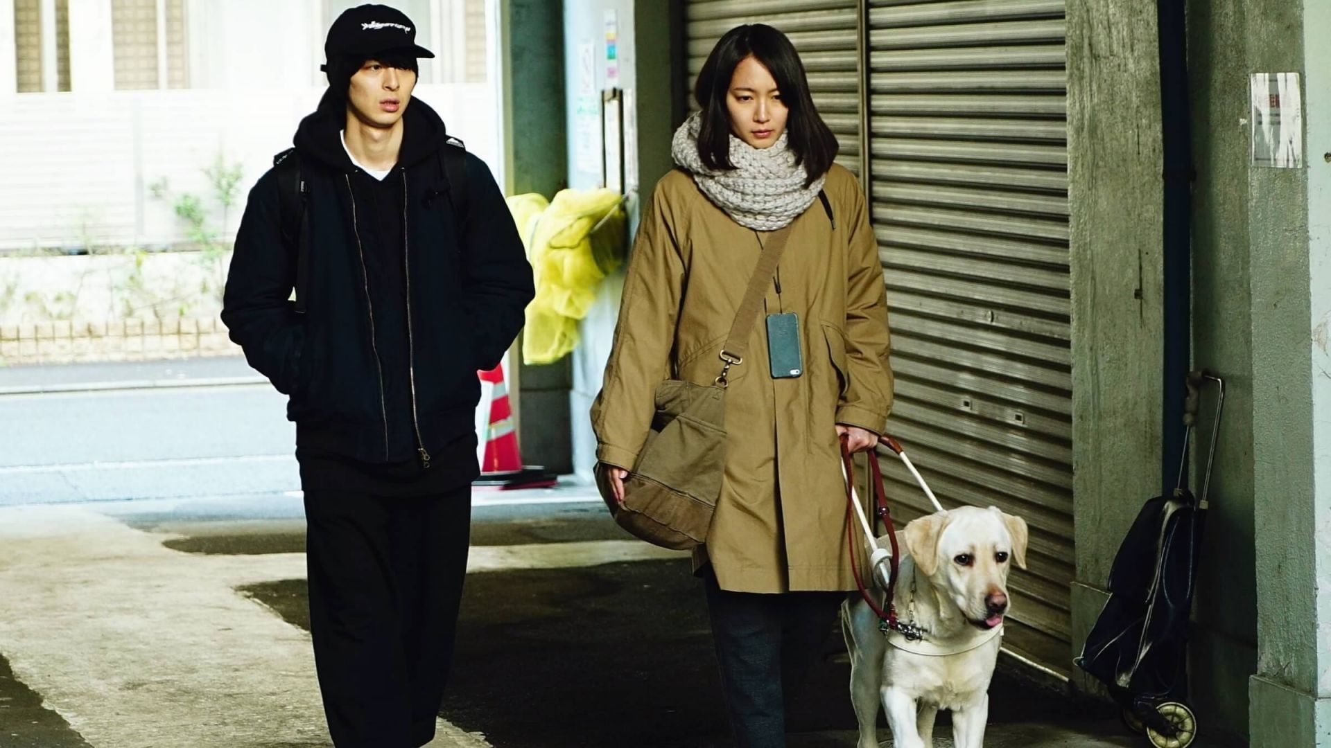 The Witness (Mienai mokugekisha)