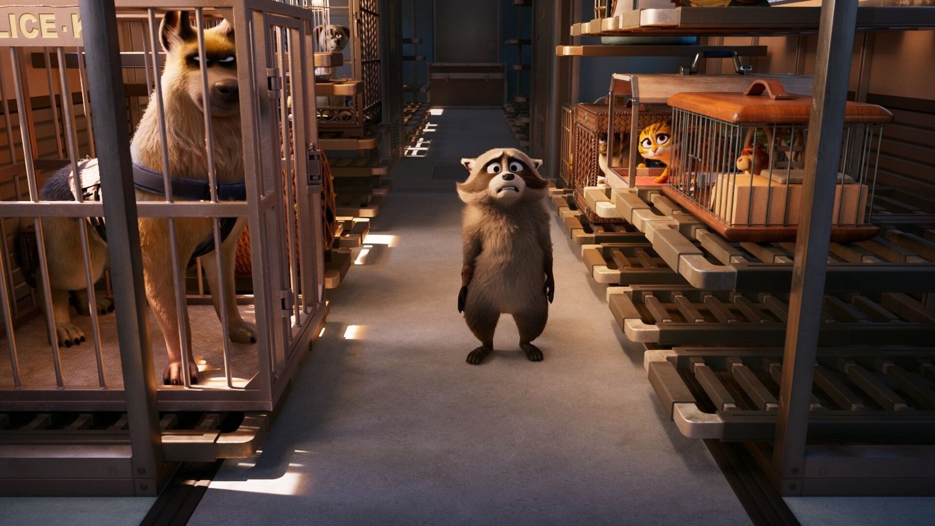 Pets on a Train ( Falcon Express)