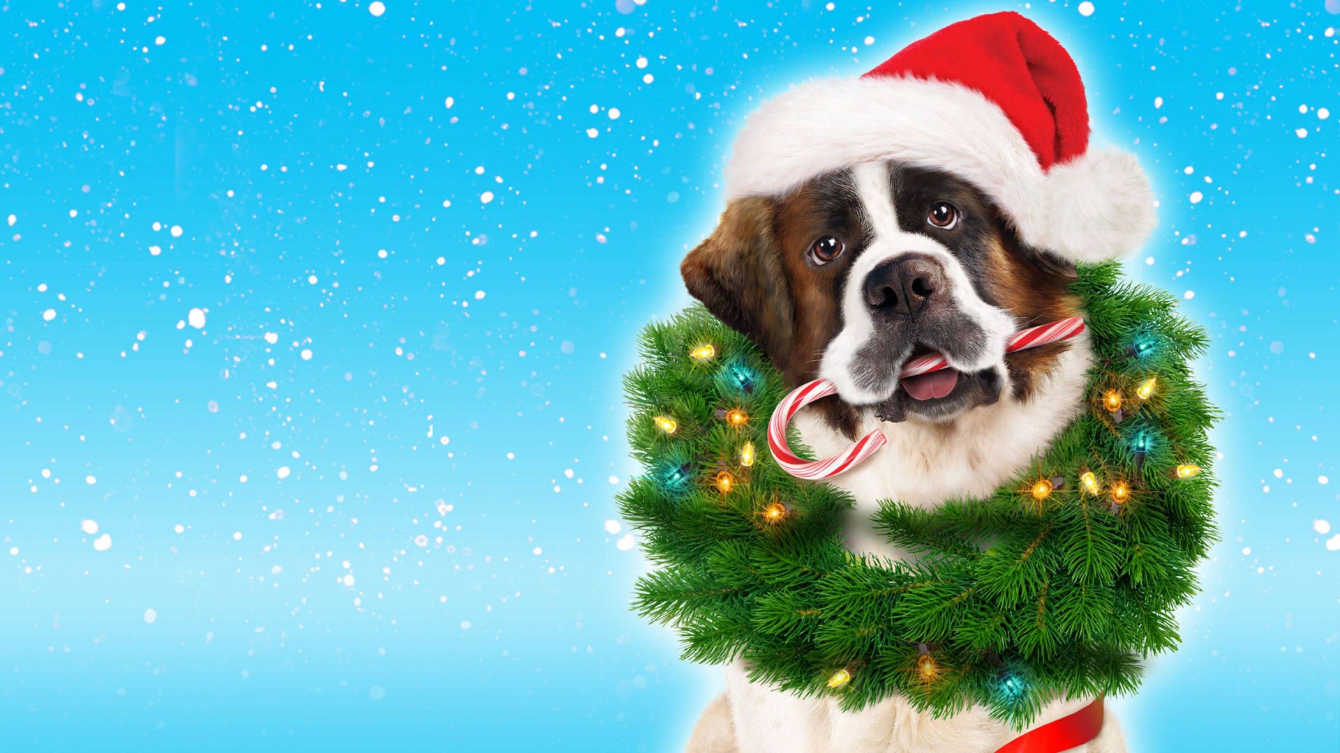 Beethovens Christmas Adventure