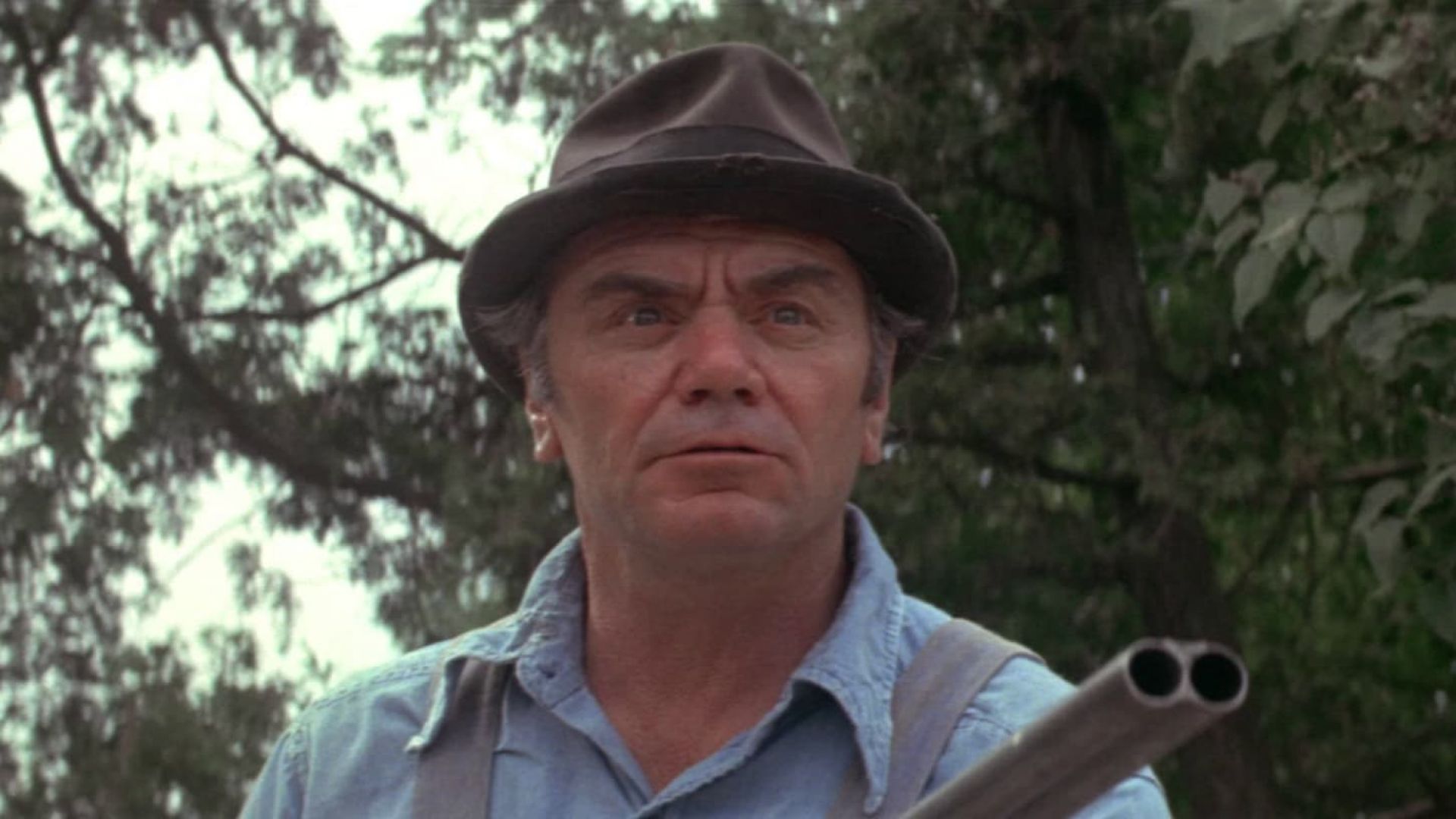 Sunday in the Country