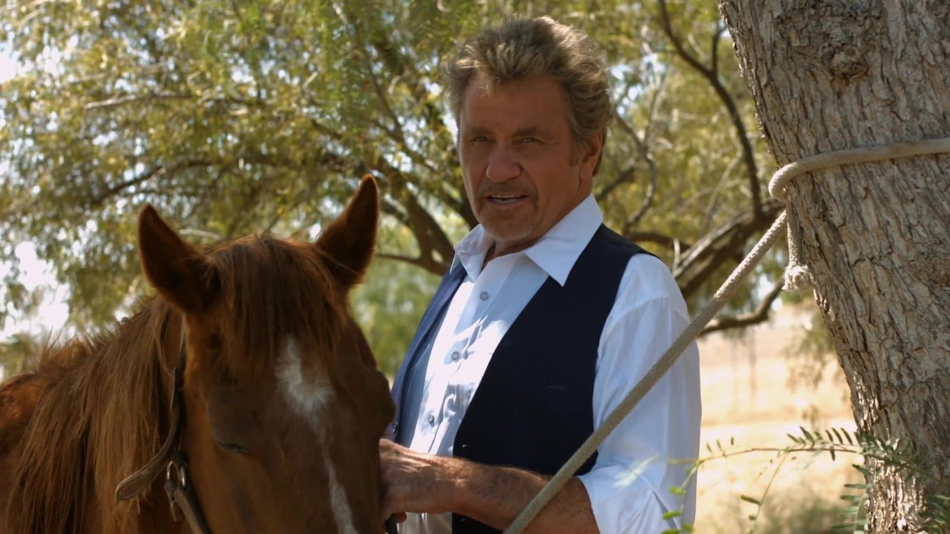 A Horse for Christmas (Running Forever)