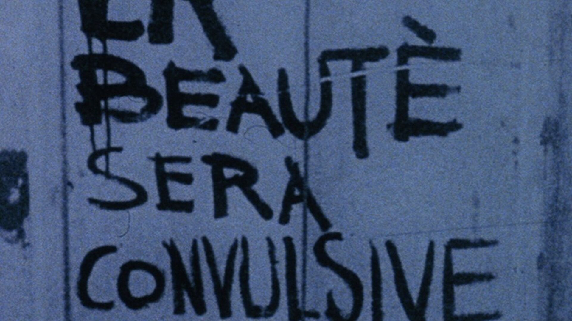 A Film Like Any Other (Un film comme les autres)