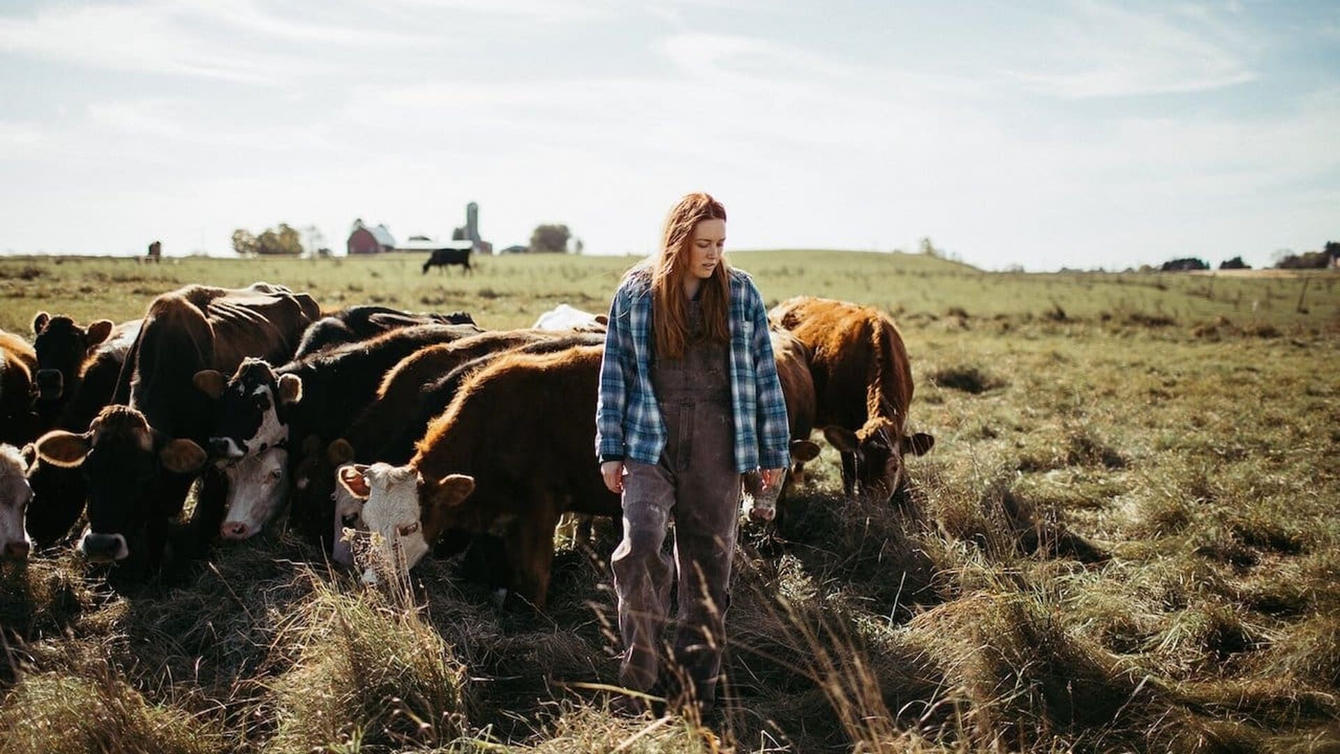 Green and Gold (God Loves the Green Bay Packers)
