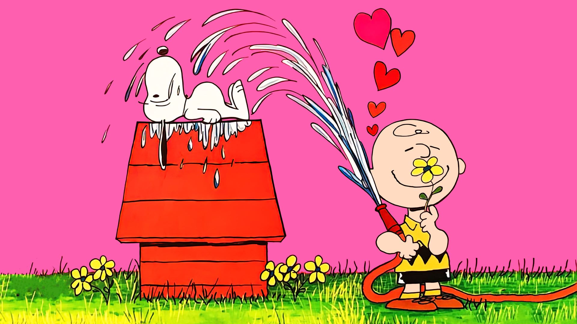 Youre in Love, Charlie Brown