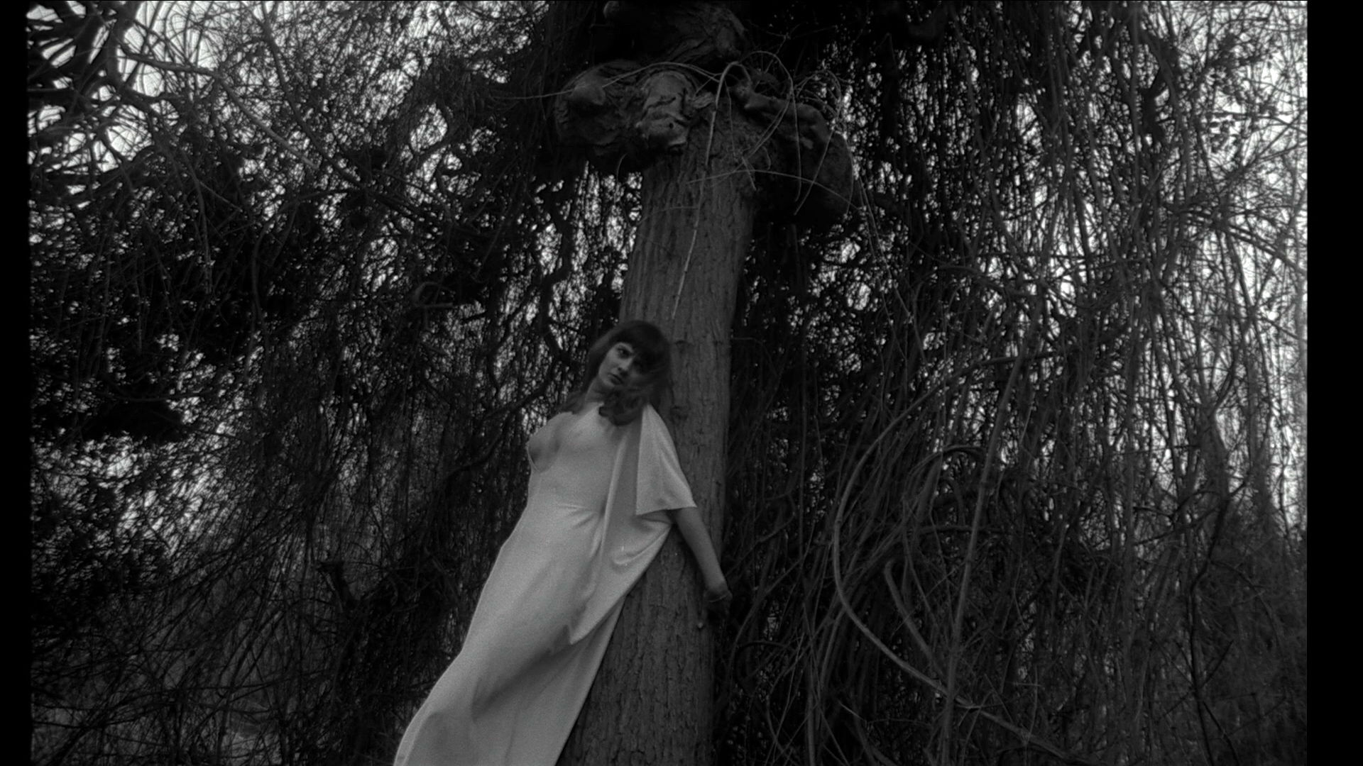 The Rap3 of the Vampire