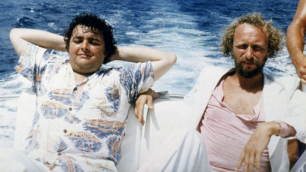 The Castaways of Turtle Island (Les naufragés de l'île de la Tortue)