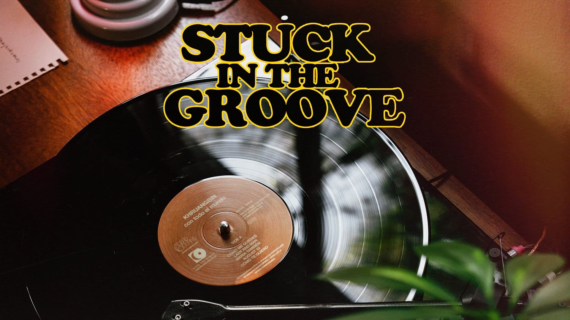 Stuck in the Groove (A Vinyl Documentary)