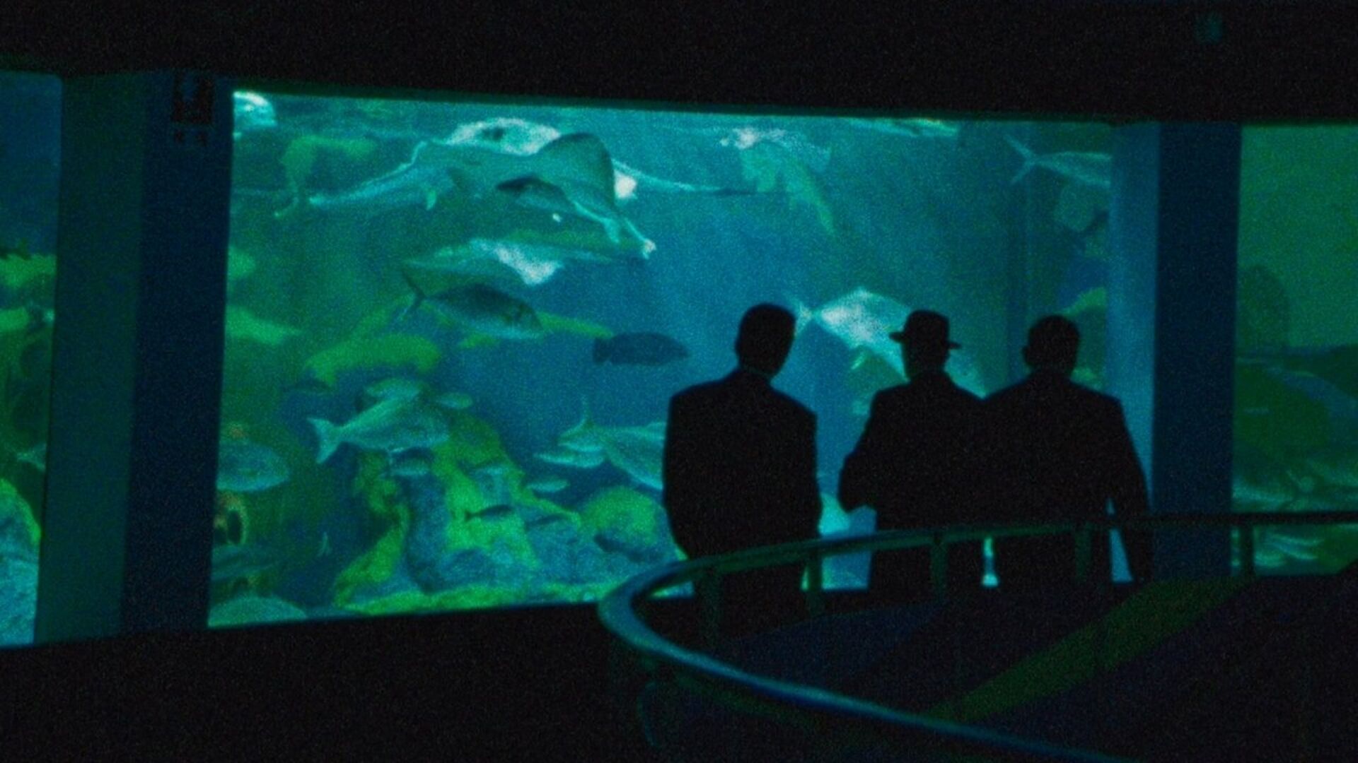 Danger Point: The Road to Hell (Jigokuhenomichi)