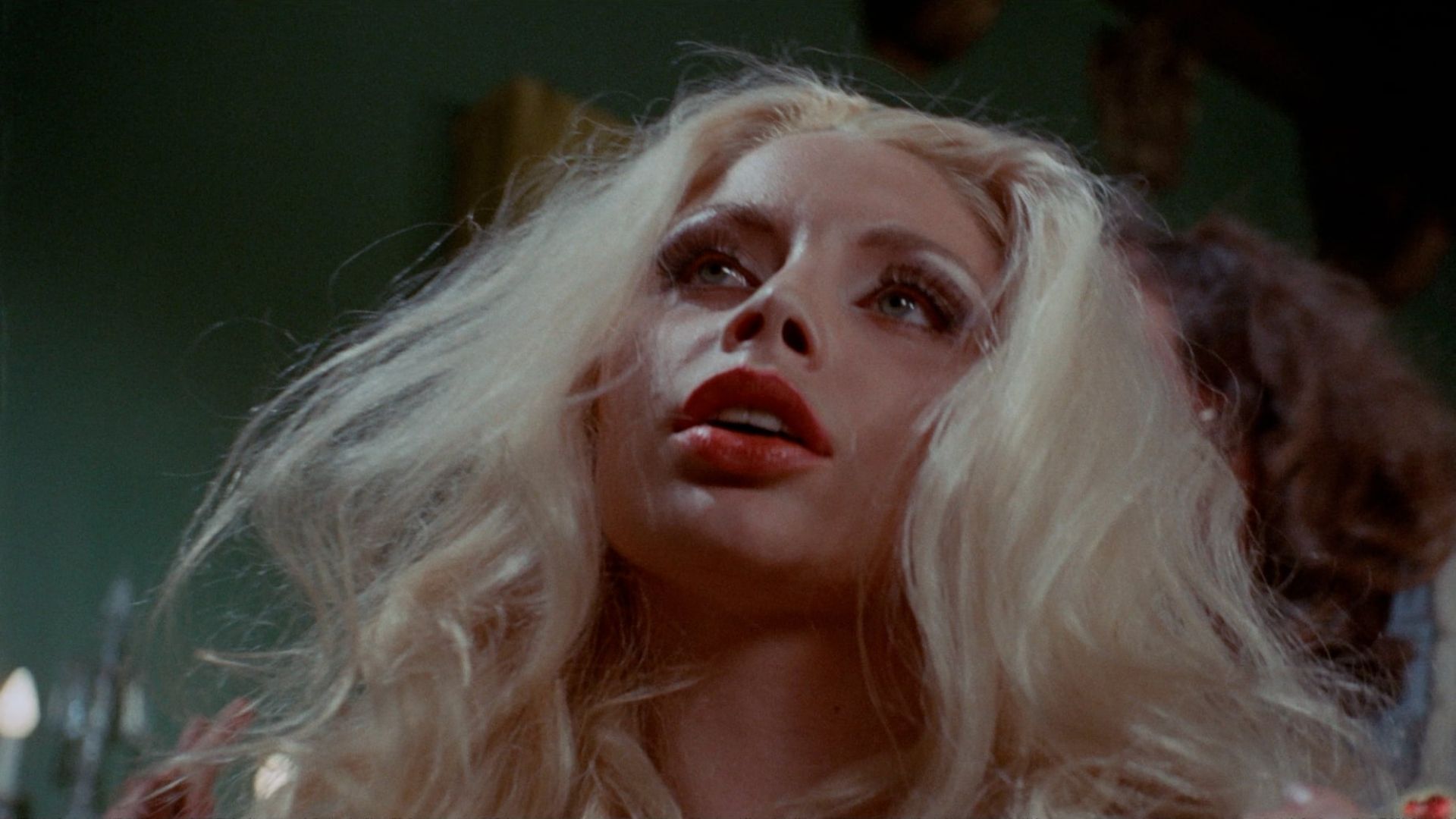 Hollywood Horror House