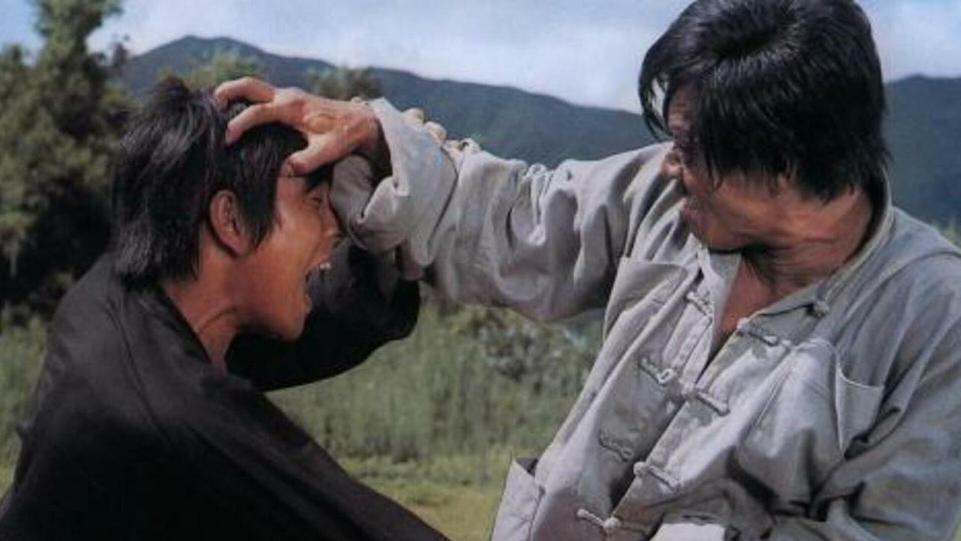 Kung Fu Master: Bruce Lee Style