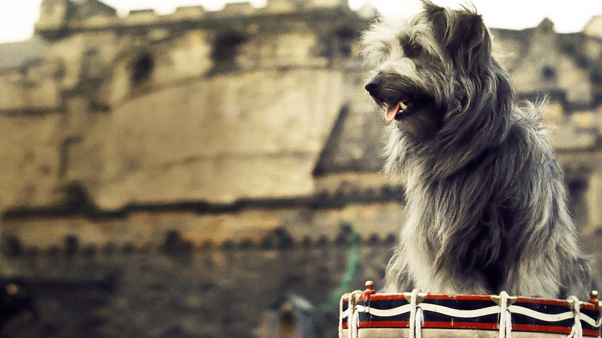 Greyfriars Bobby: The True Story of a Dog