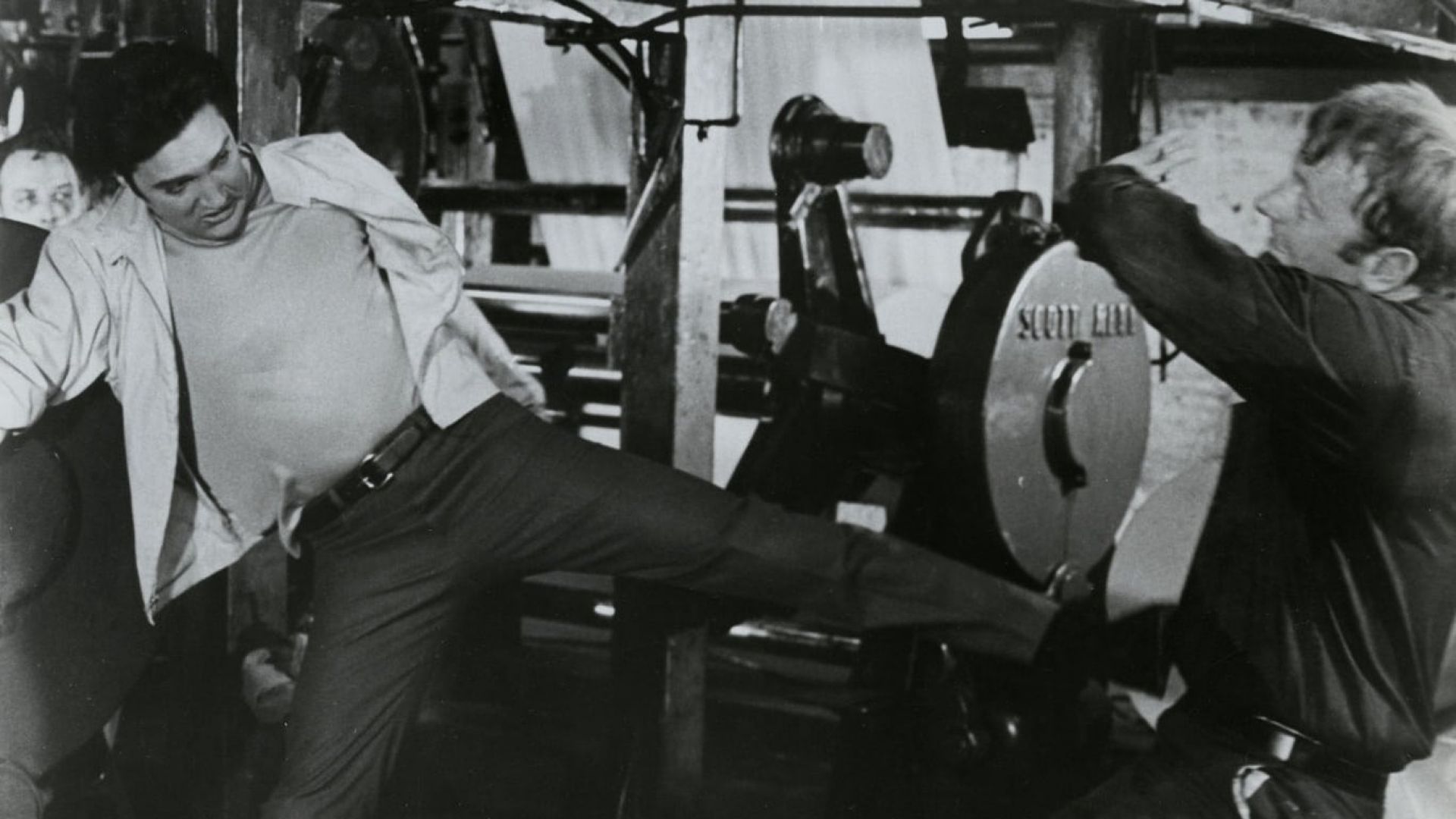 Live a Little, Love a Little