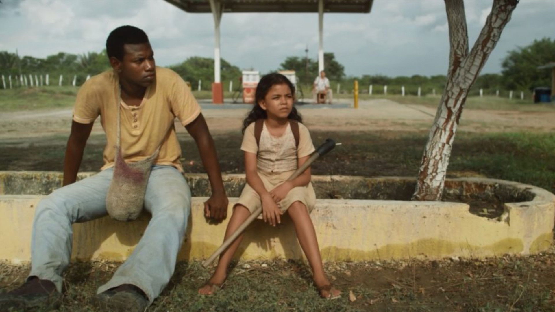 The Red Tree (El árbol rojo)