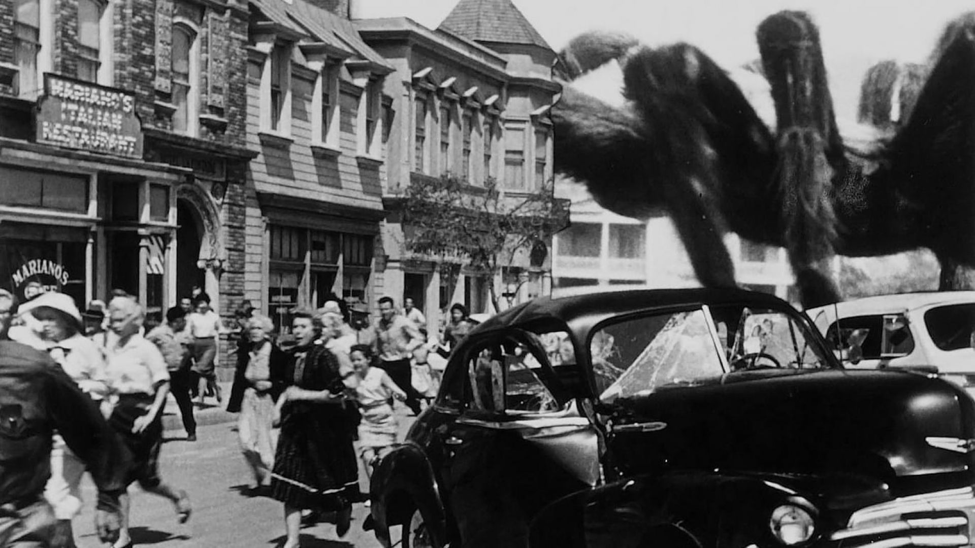 The Spider (Earth vs the Spider)