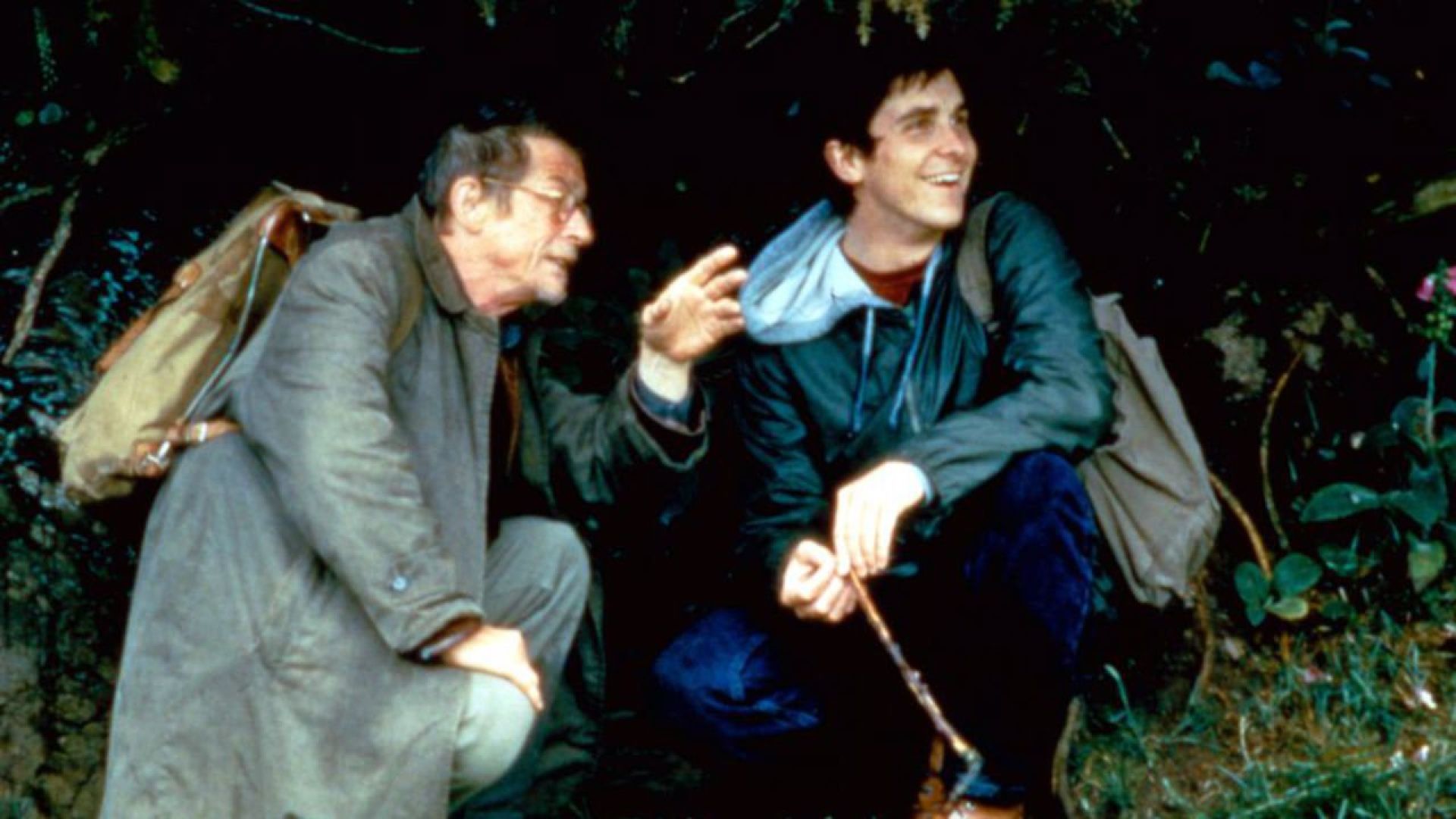 All the Little Animals