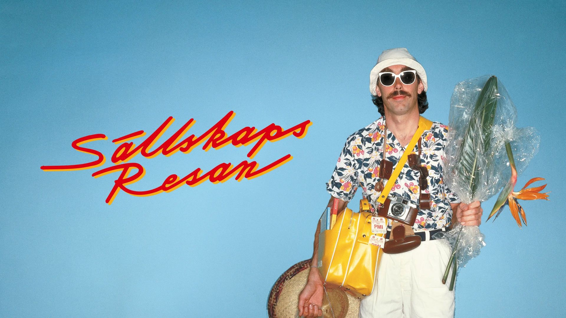 Sällskapsresan eller Finns det svenskt kaffe på grisfesten