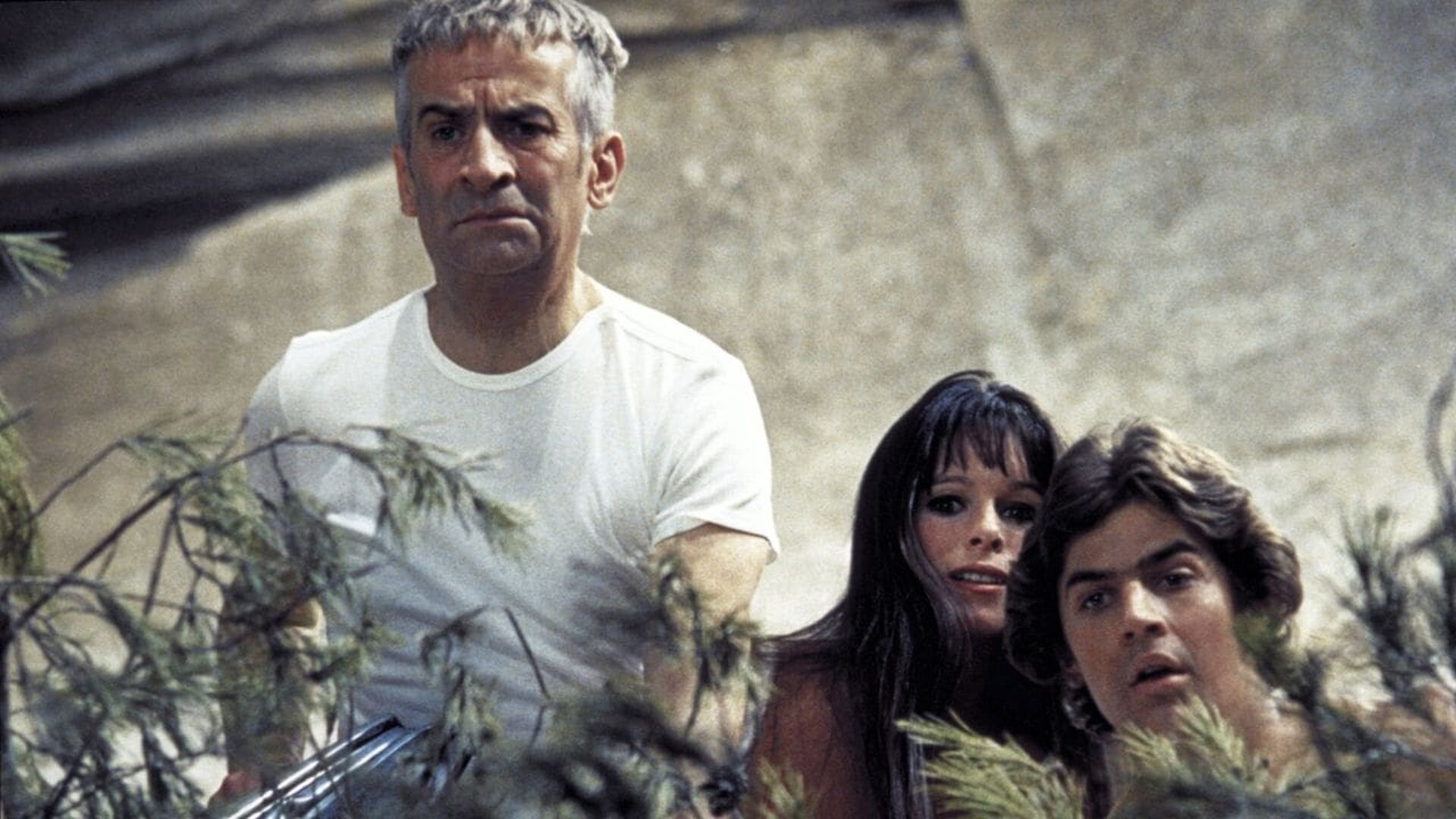 Perched on a Tree (Sur un arbre perché)