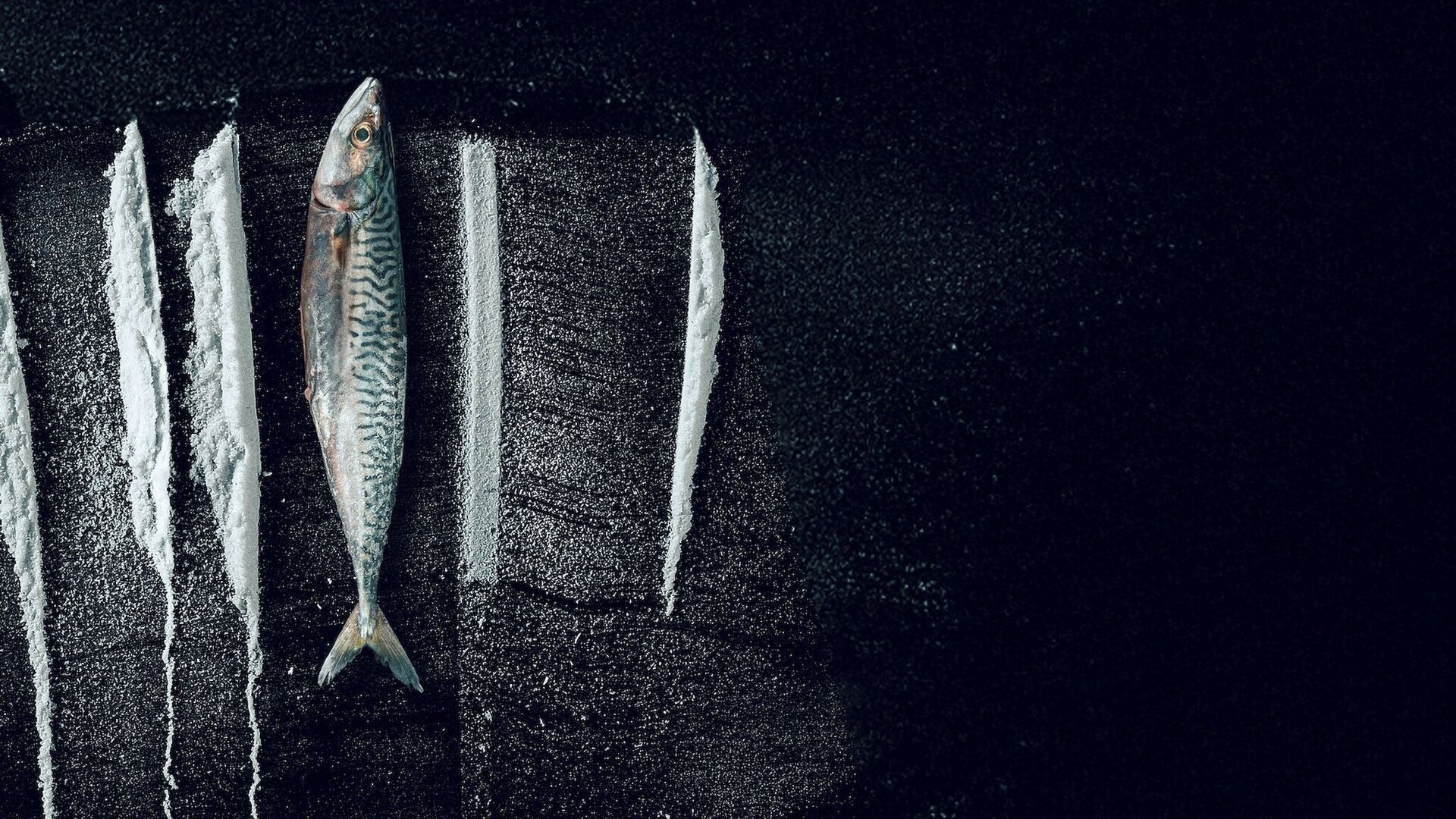 Turn of the Tide: The Surreal Story of Rabo de Peixe