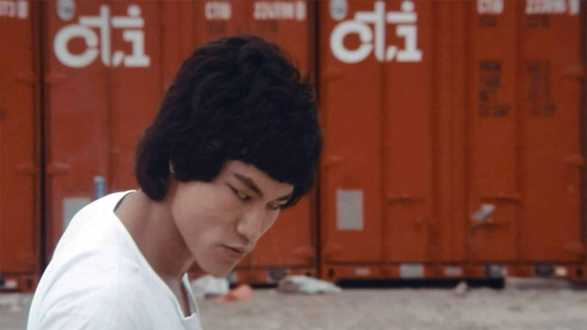 The Clones of Bruce Lee