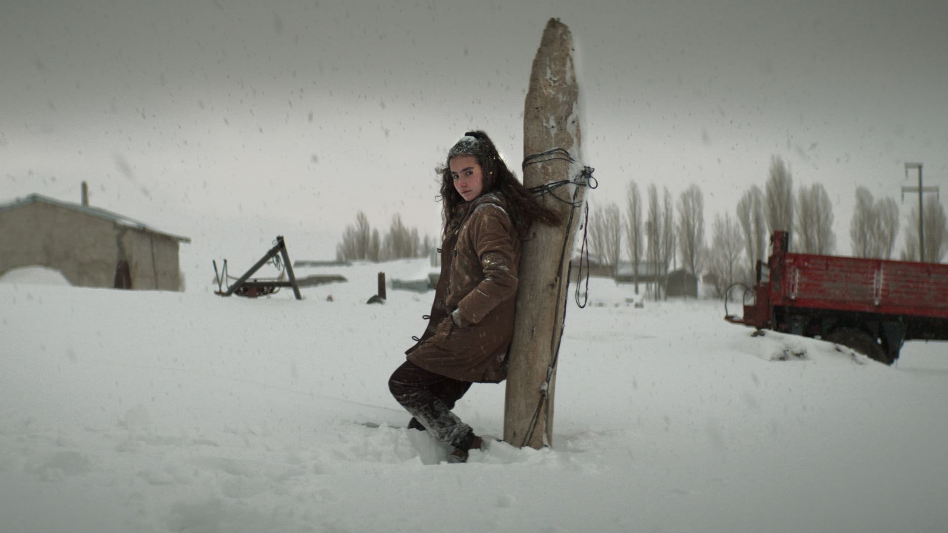 About Dry Grasses (Kuru Otlar Üstüne)