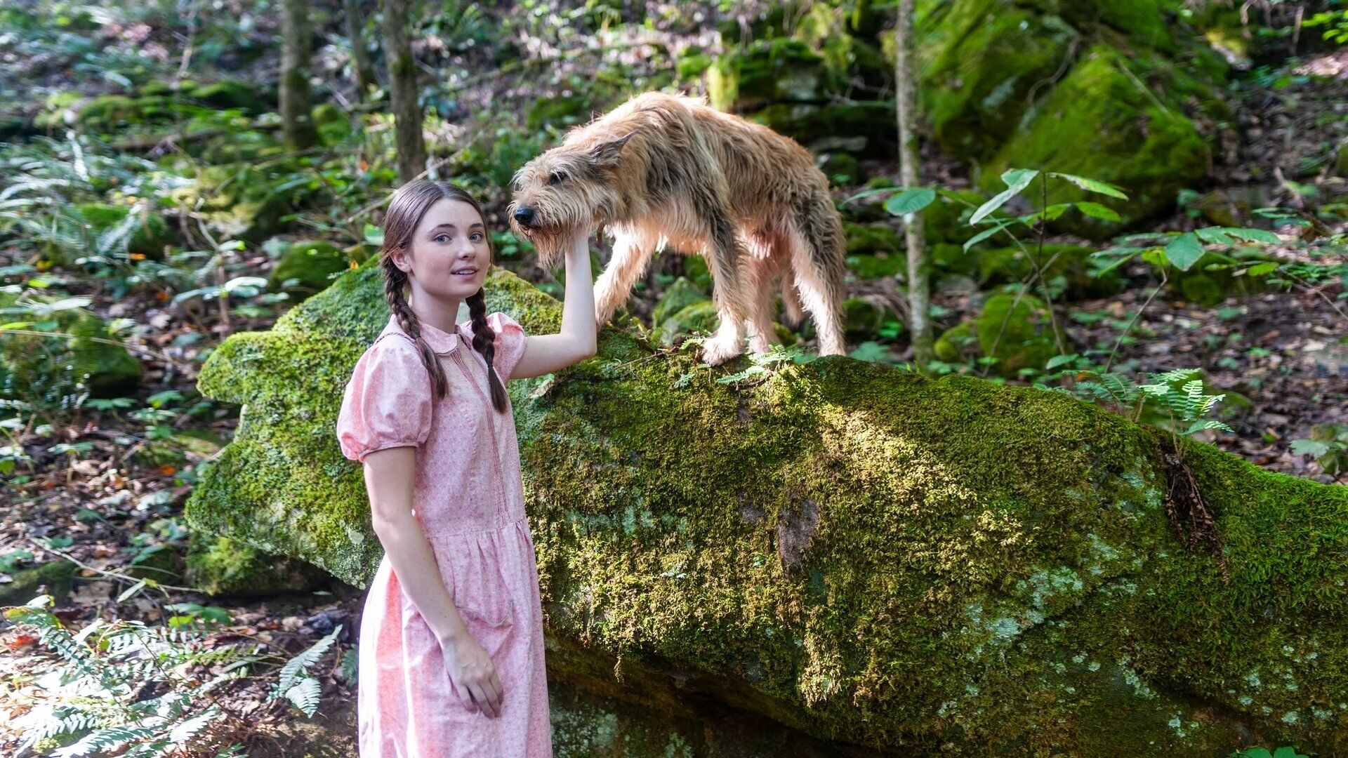 The Science Adventures of Tom & Huck