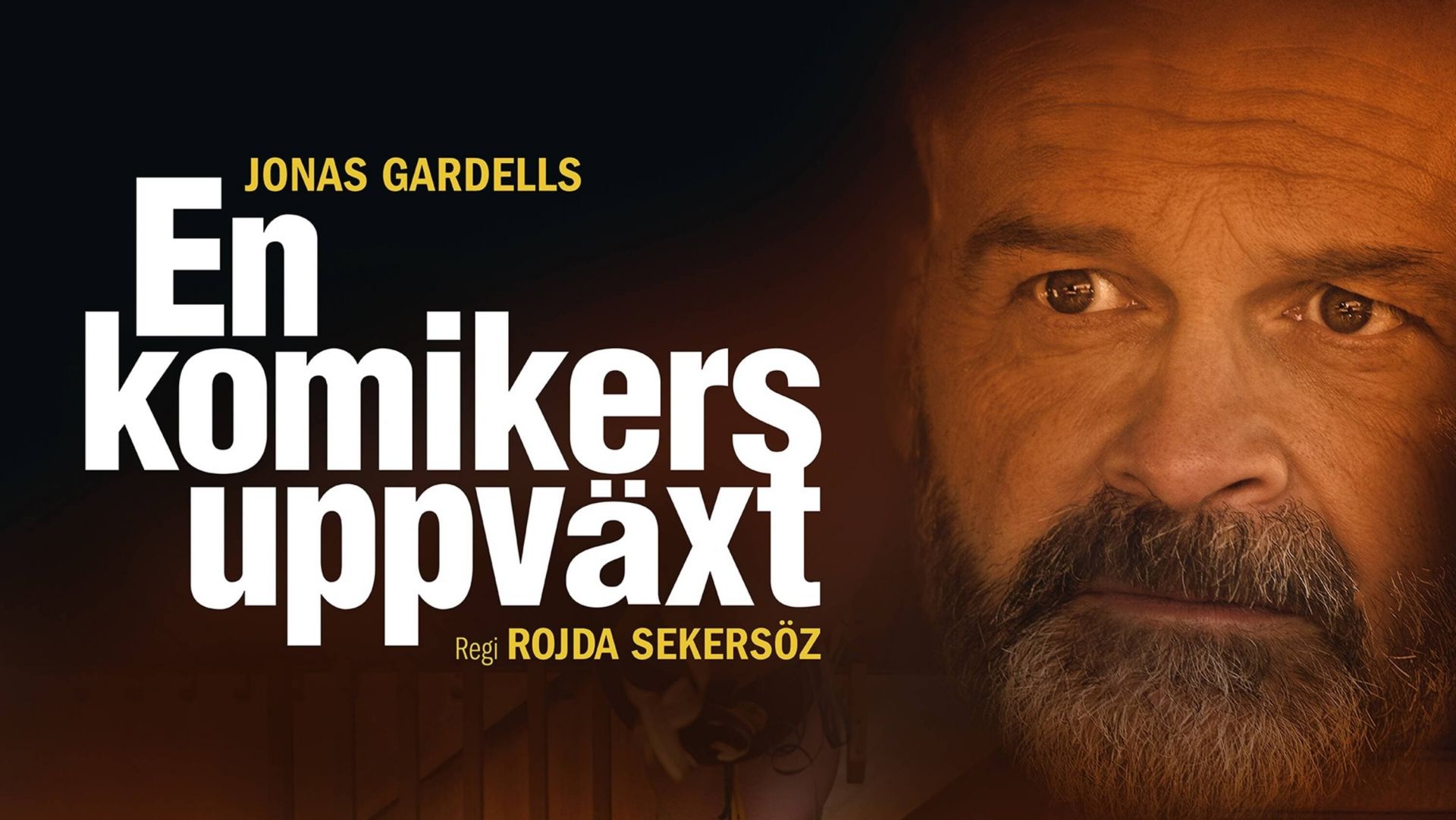 My Life as a Comedian (En komikers uppväxt)