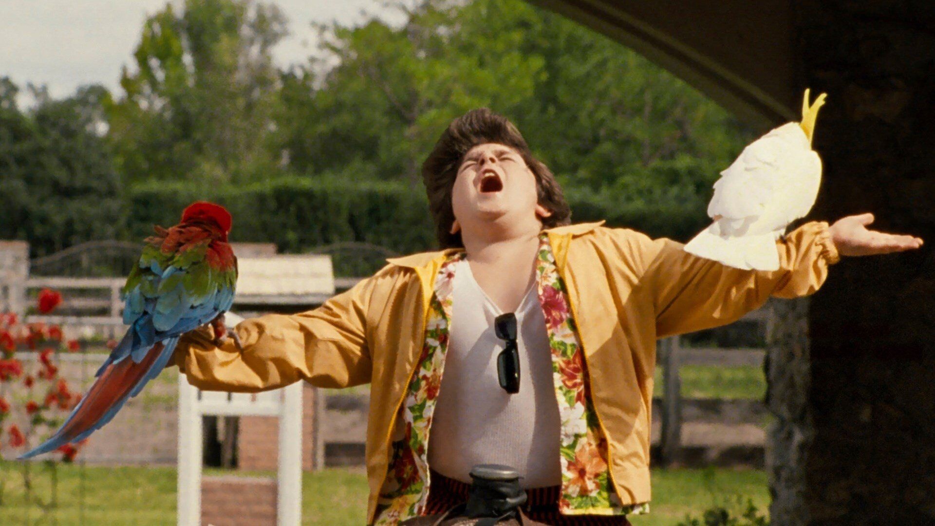 Ace Ventura: Pet Detective Jr.