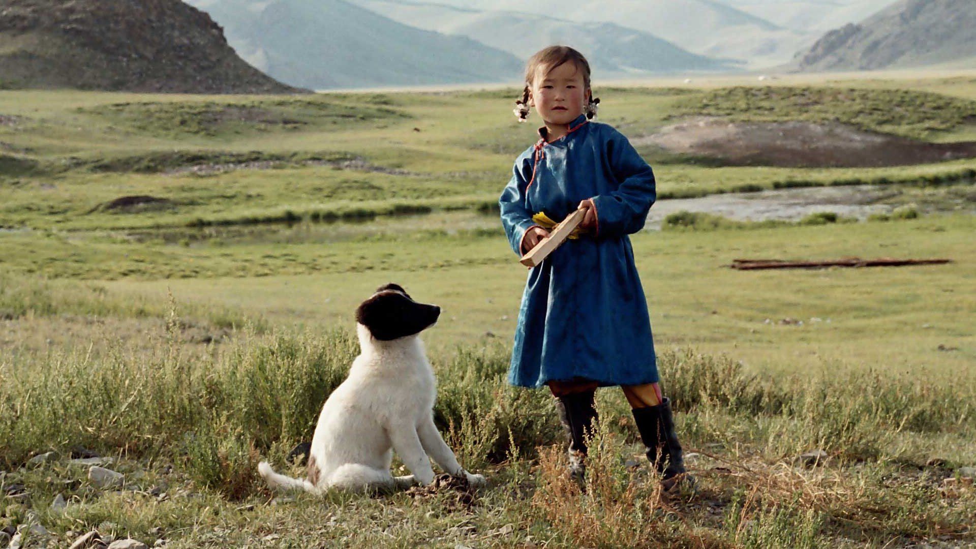 The Cave of the Yellow Dog