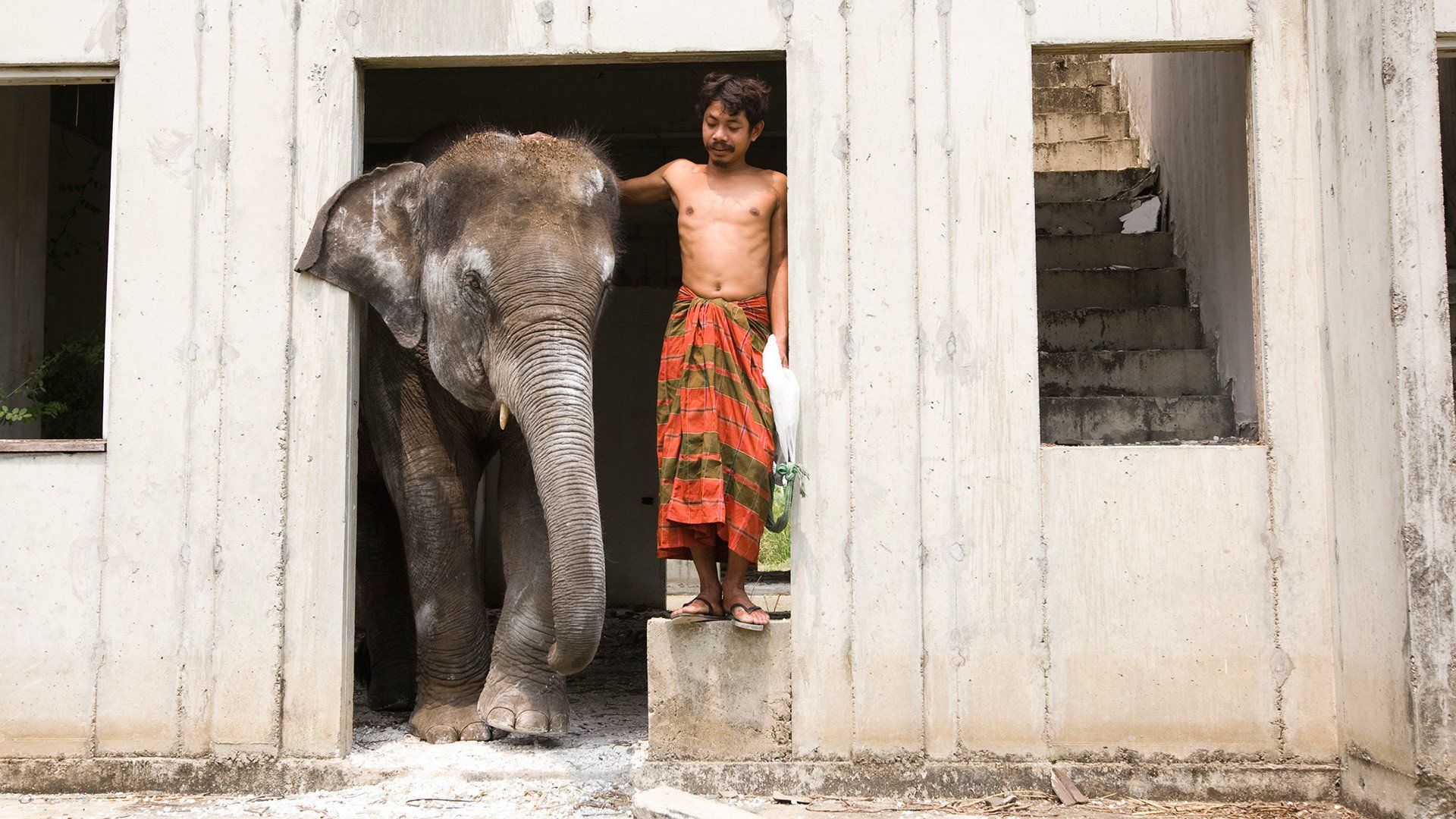 When Elephants Were Young