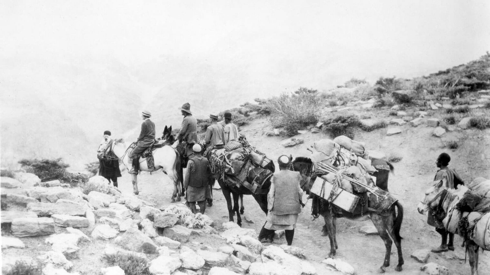 Grass: A Nations Battle for Life