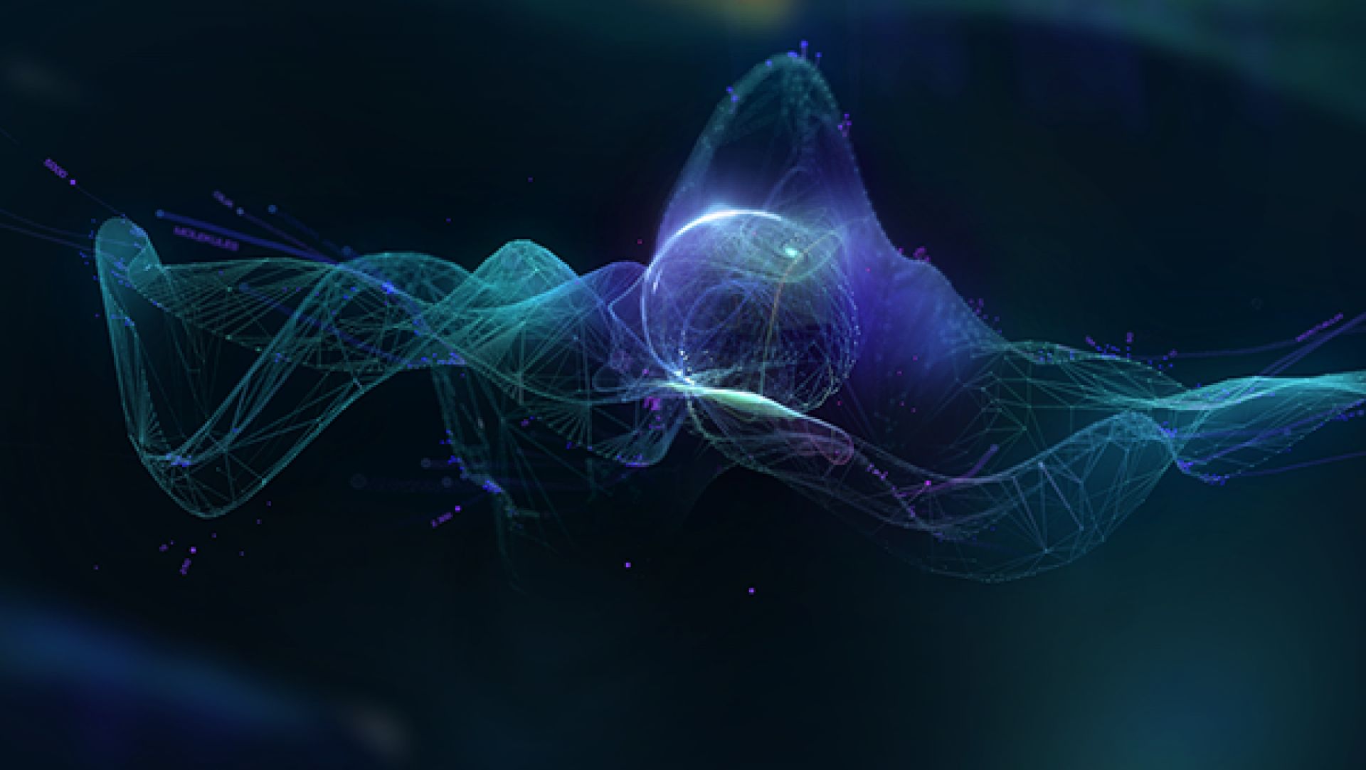 The Human Face of Big Data