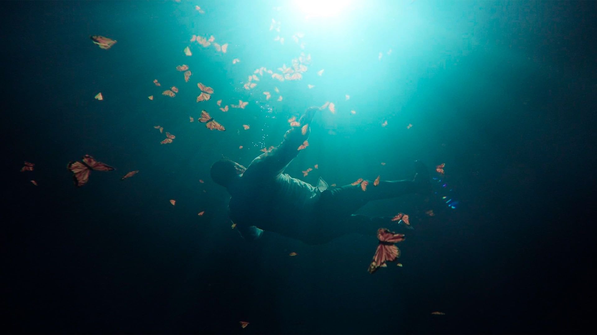 The Guardian of the Monarchs (El Guardián de las Monarcas)